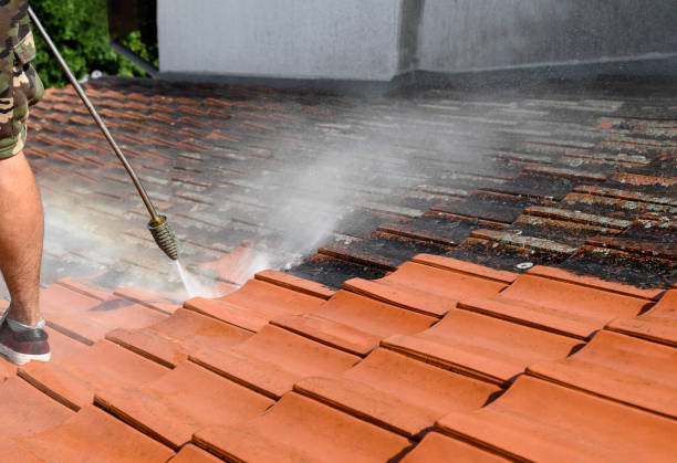 Best Pressure Washing Driveway  in Cumberland, IN